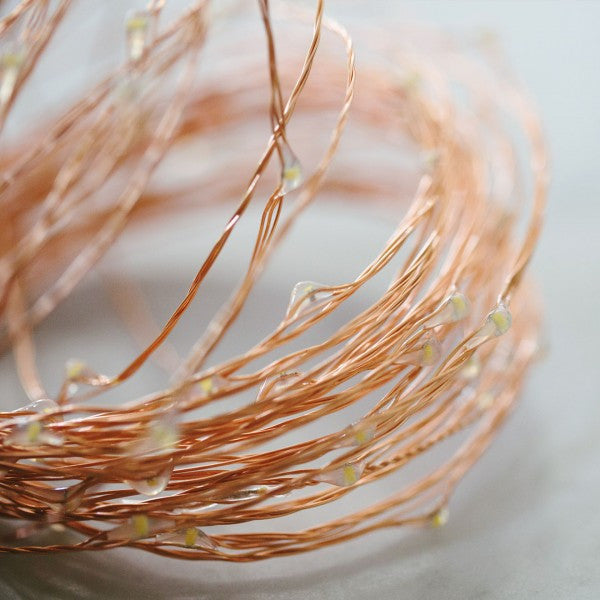 Fairy lights - 5m - Emporium of the Modern Man
- 7