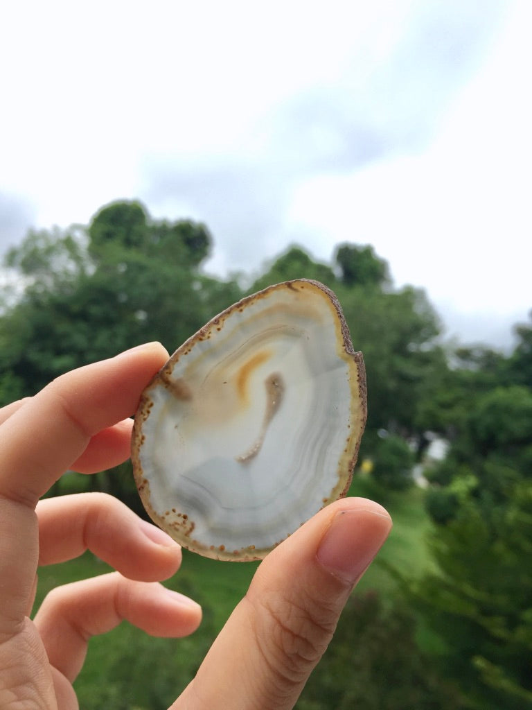 Agate Slice #23 by Vivian Lam
