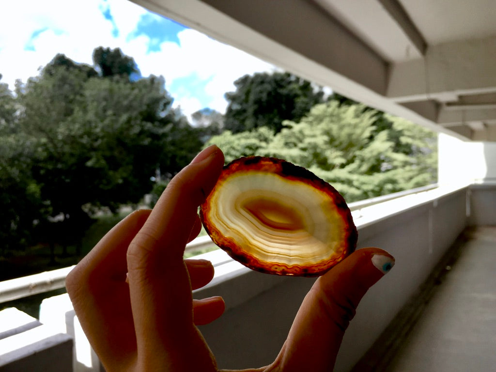 Agate Slice #16 by Vivian Lam
