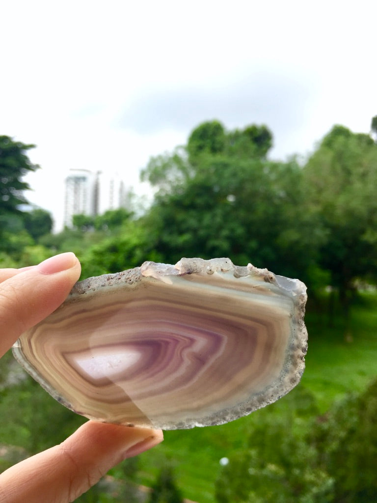 Agate Slice #40.5  by Vivian Lam