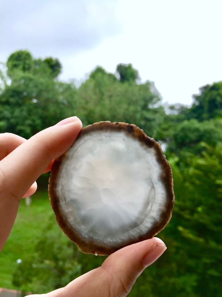 Agate Slice #42  by Vivian Lam