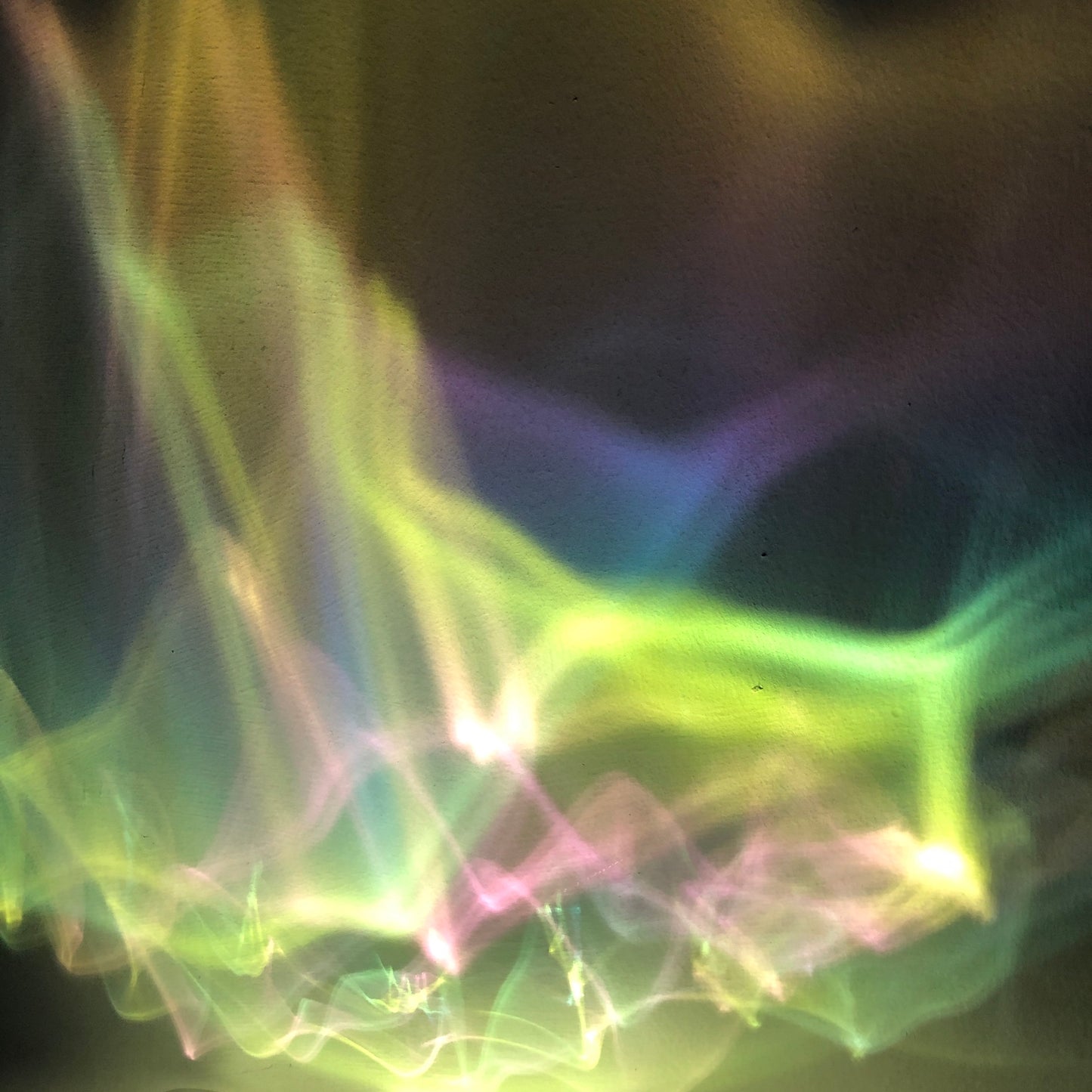 Holographic Shell Plates by PROSE Tabletop
