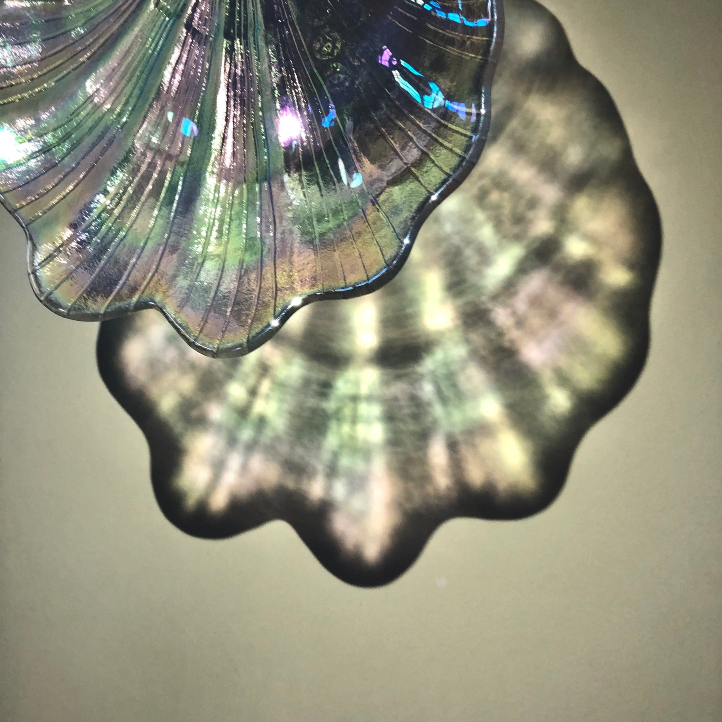 Holographic Shell Plates by PROSE Tabletop