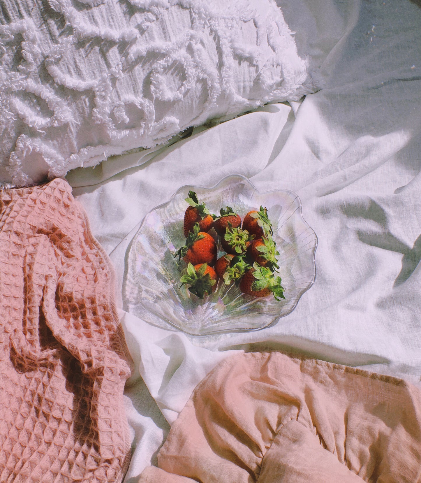 Holographic Shell Plates by PROSE Tabletop