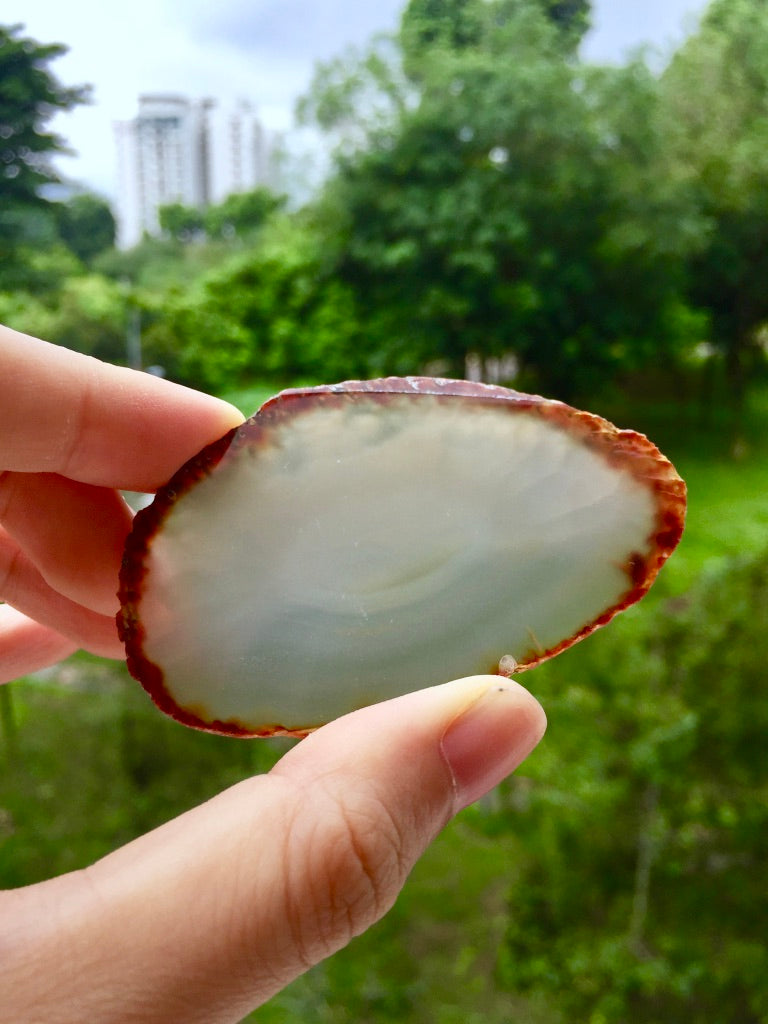 Agate Slice #36 by Vivian Lam