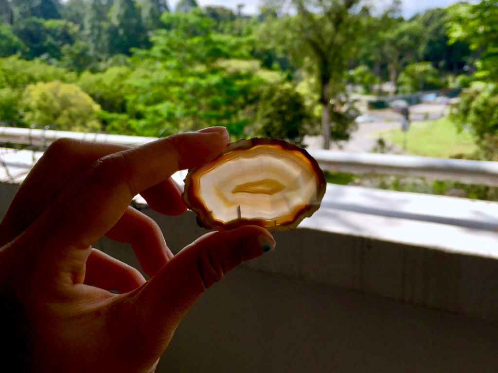 Agate Slice #5 by Vivian Lam