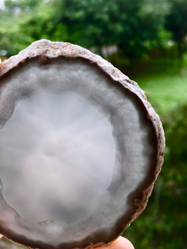 Agate Slice #42  by Vivian Lam