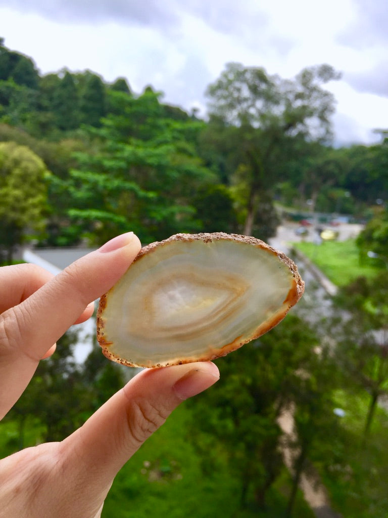 Agate Slice #37 by Vivian Lam
