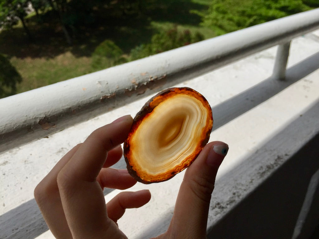 Agate Slice #16 by Vivian Lam