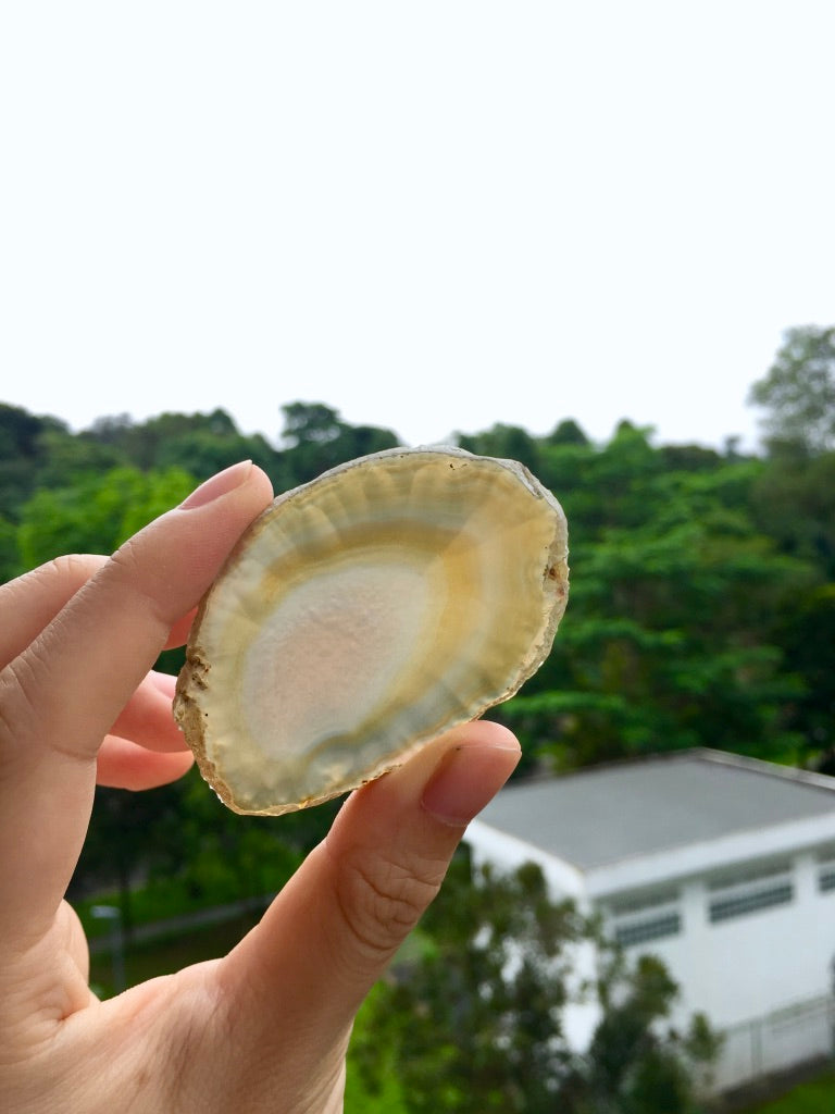 Agate Slice #34 by Vivian Lam