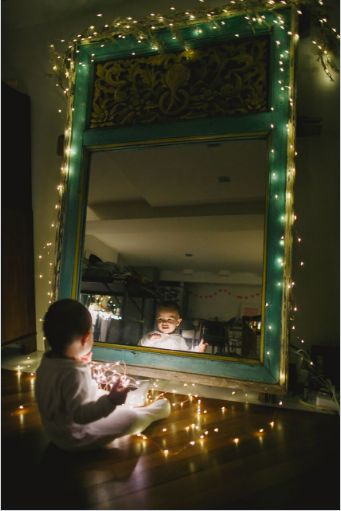 Fairy lights - 5m - Emporium of the Modern Man
- 11