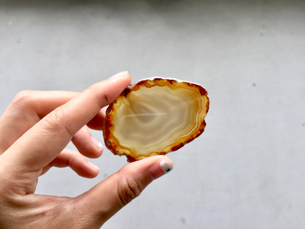 Agate Slice #17 by Vivian Lam