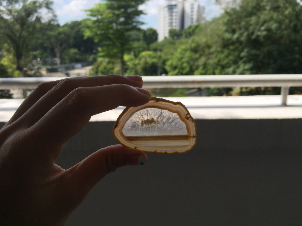 Agate Slice #2 by Vivian Lam