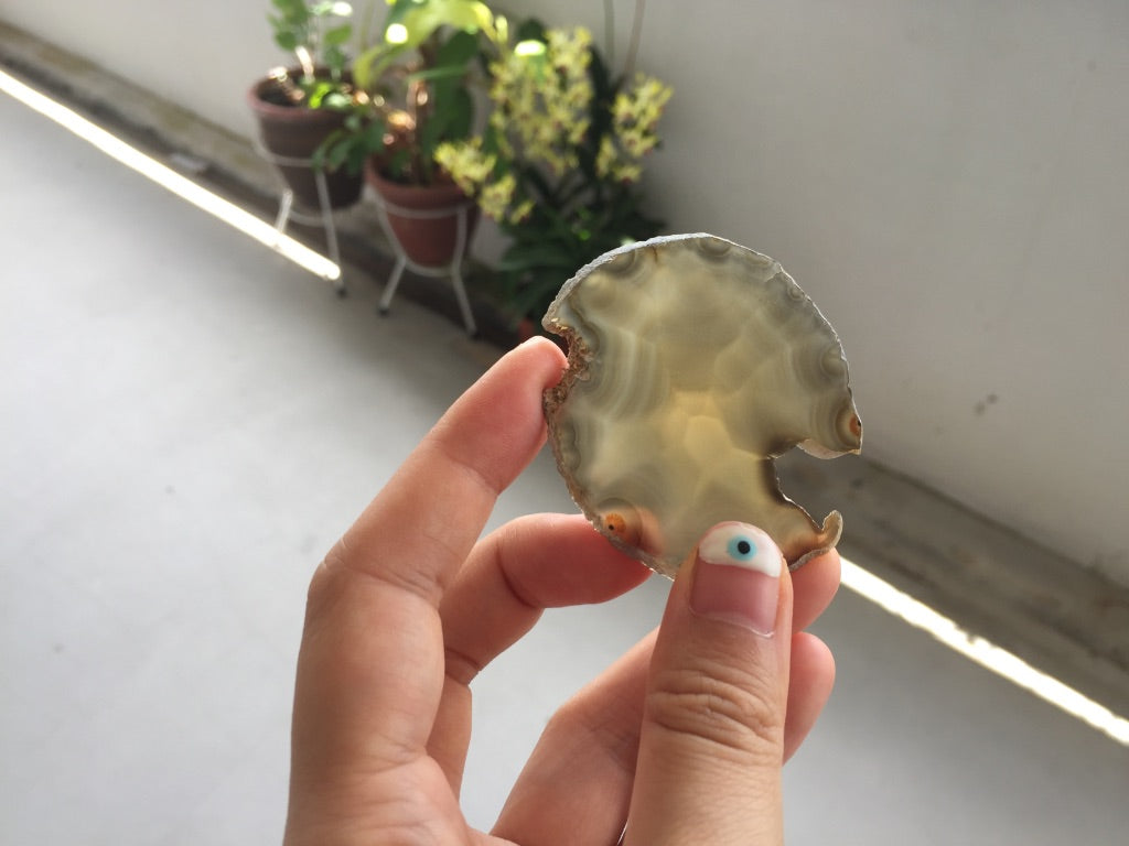 Agate Slice #6 by Vivian Lam