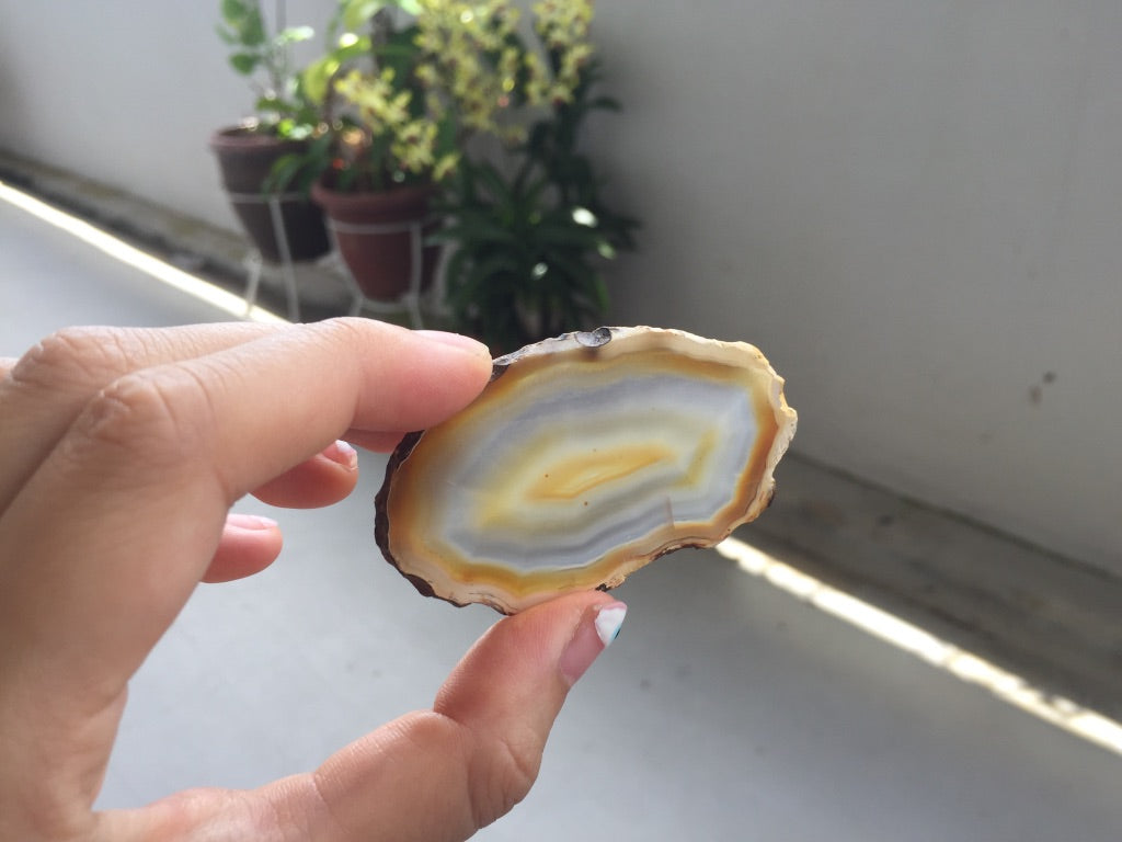 Agate Slice #5 by Vivian Lam