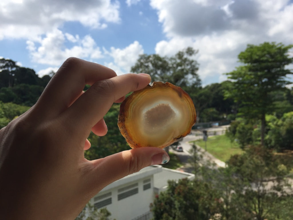 Agate Slice #12 by Vivian Lam