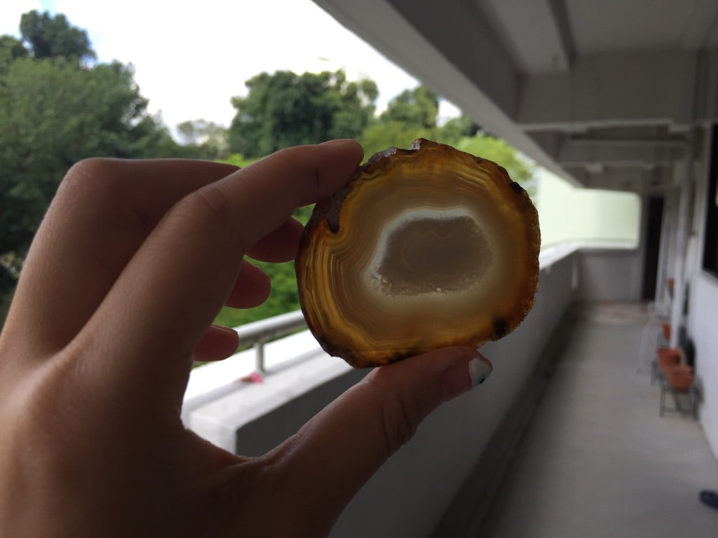 Agate Slice #12 by Vivian Lam