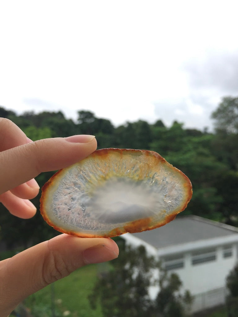 Agate Slice #32 by Vivian Lam