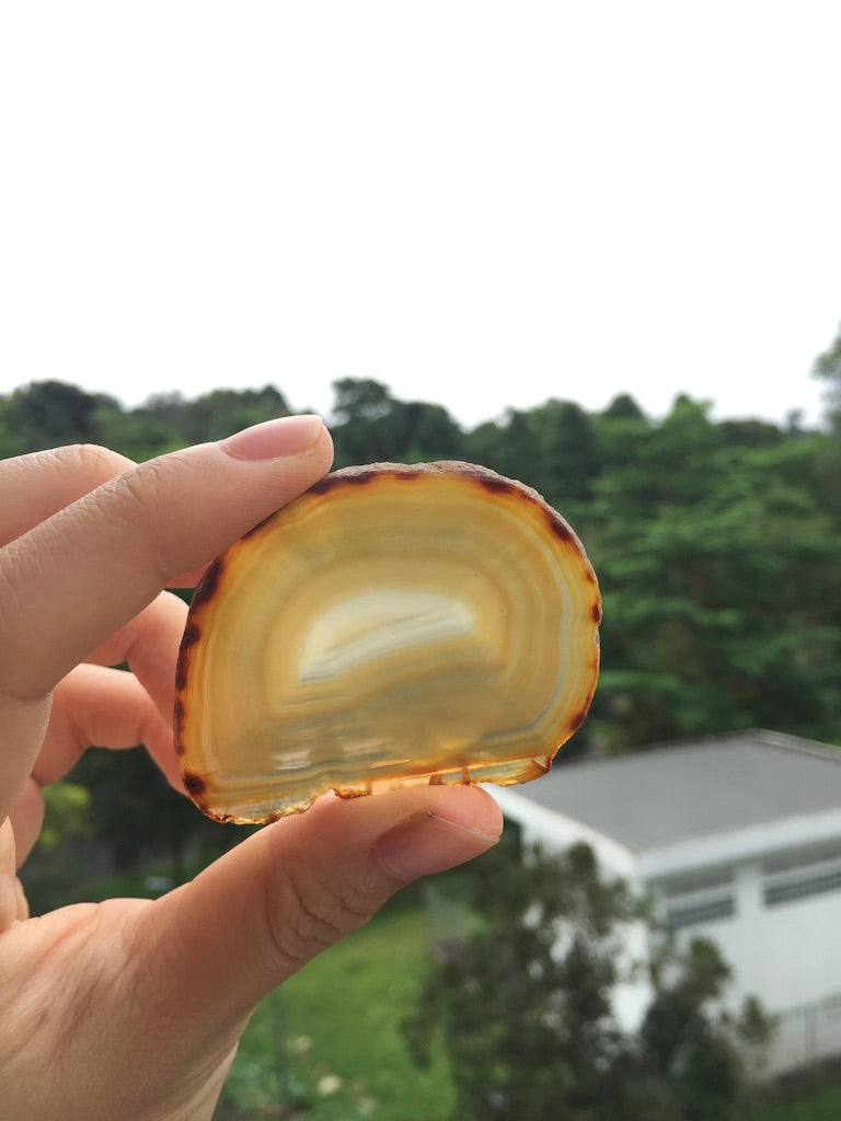 Agate Slice #33 by Vivian Lam