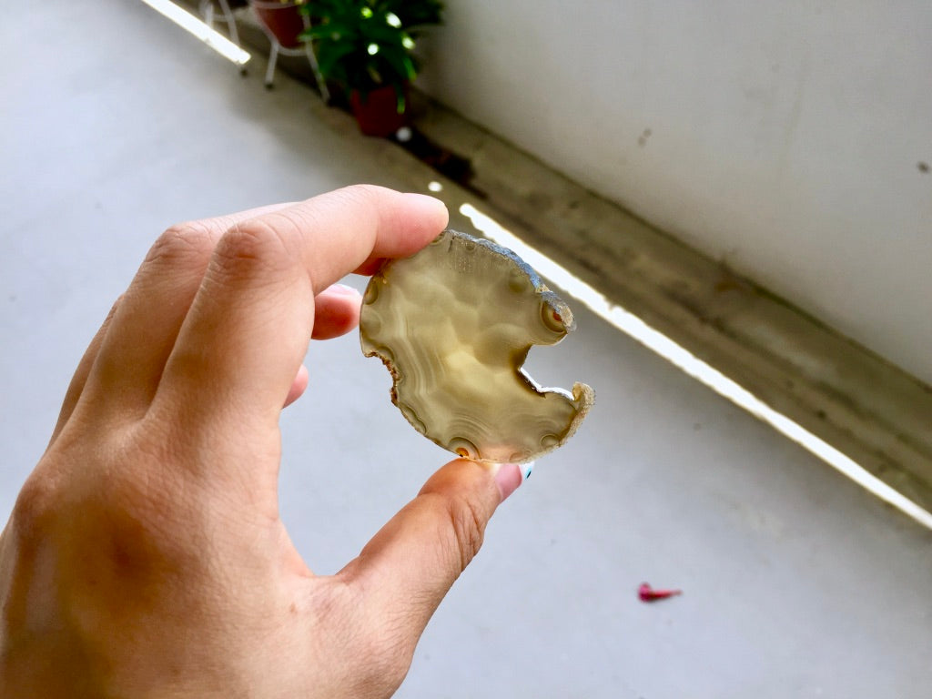 Agate Slice #6 by Vivian Lam