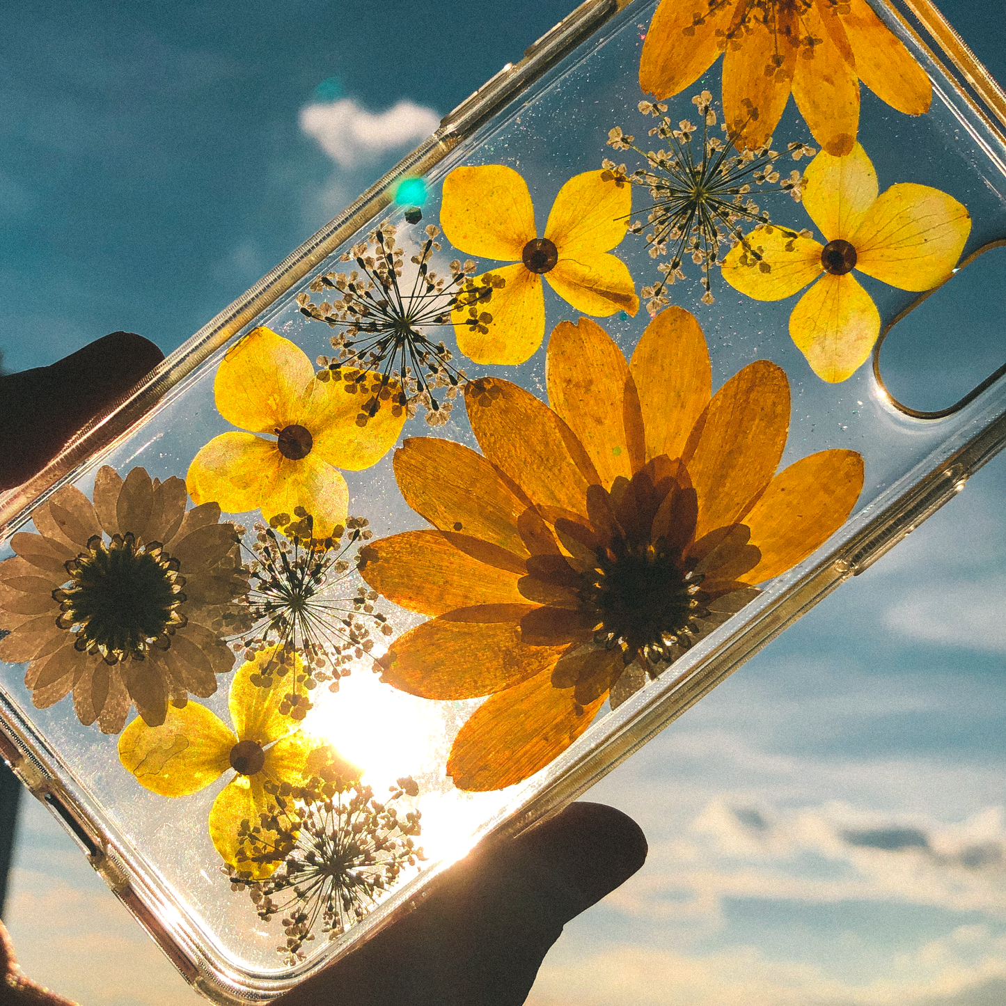 Pressed WildFlower Phone Case (iPhone X/XS) by Veronique
