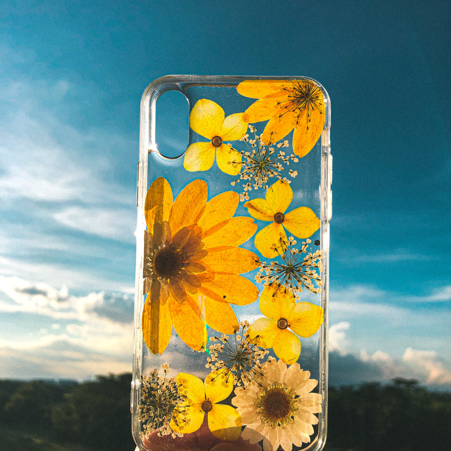 Pressed WildFlower Phone Case (iPhone X/XS) by Veronique