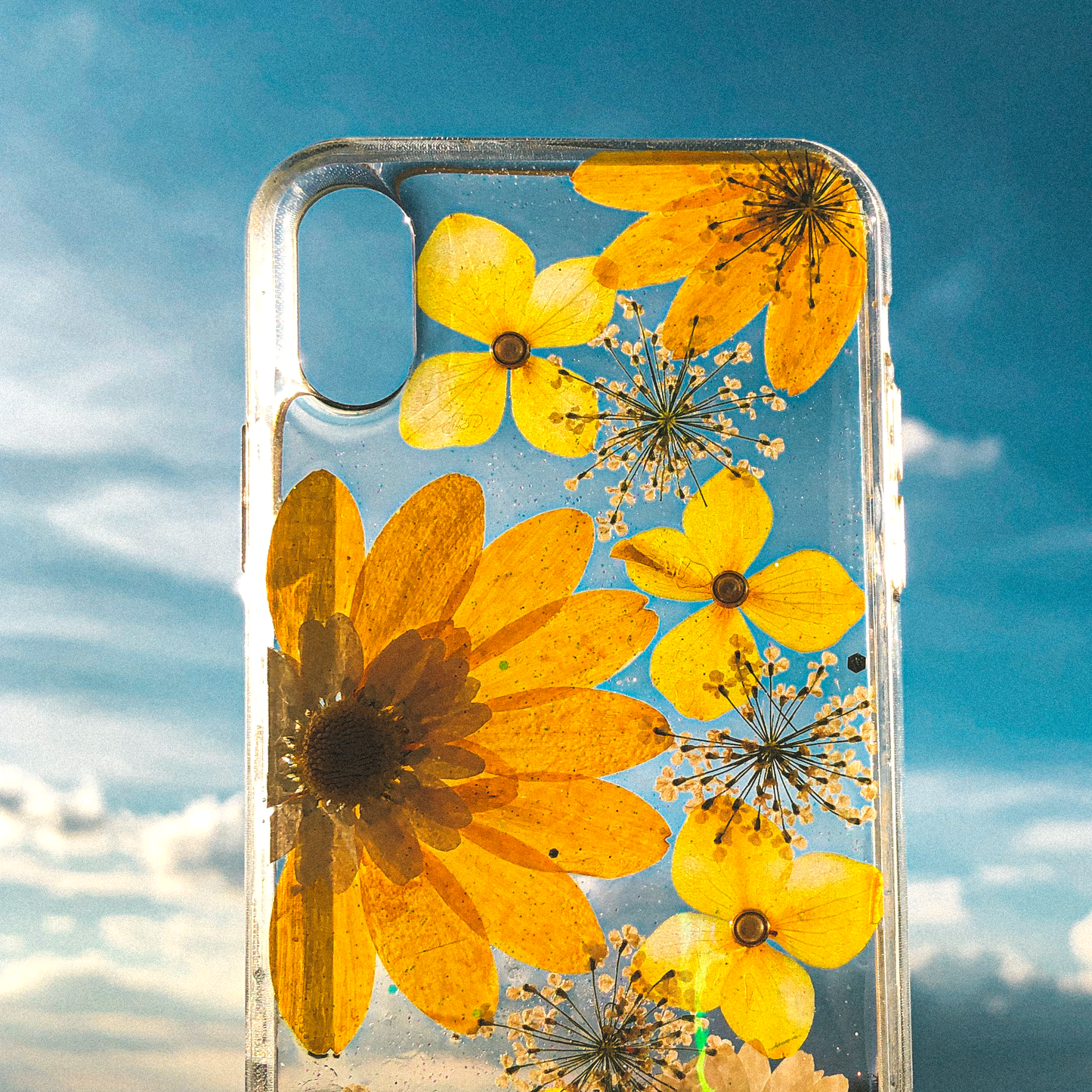 Pressed WildFlower Phone Case (iPhone X/XS) by Veronique