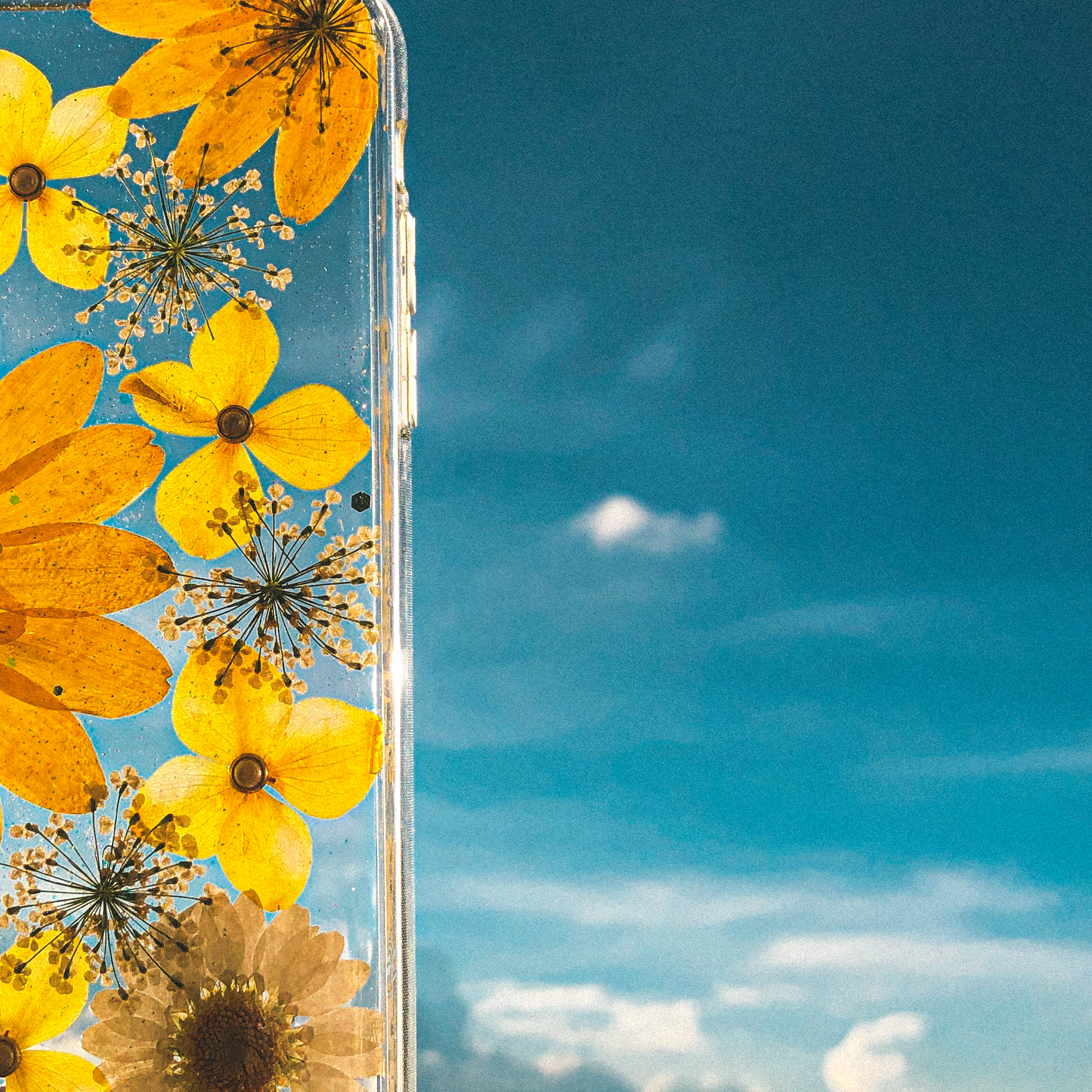 Pressed WildFlower Phone Case (iPhone X/XS) by Veronique