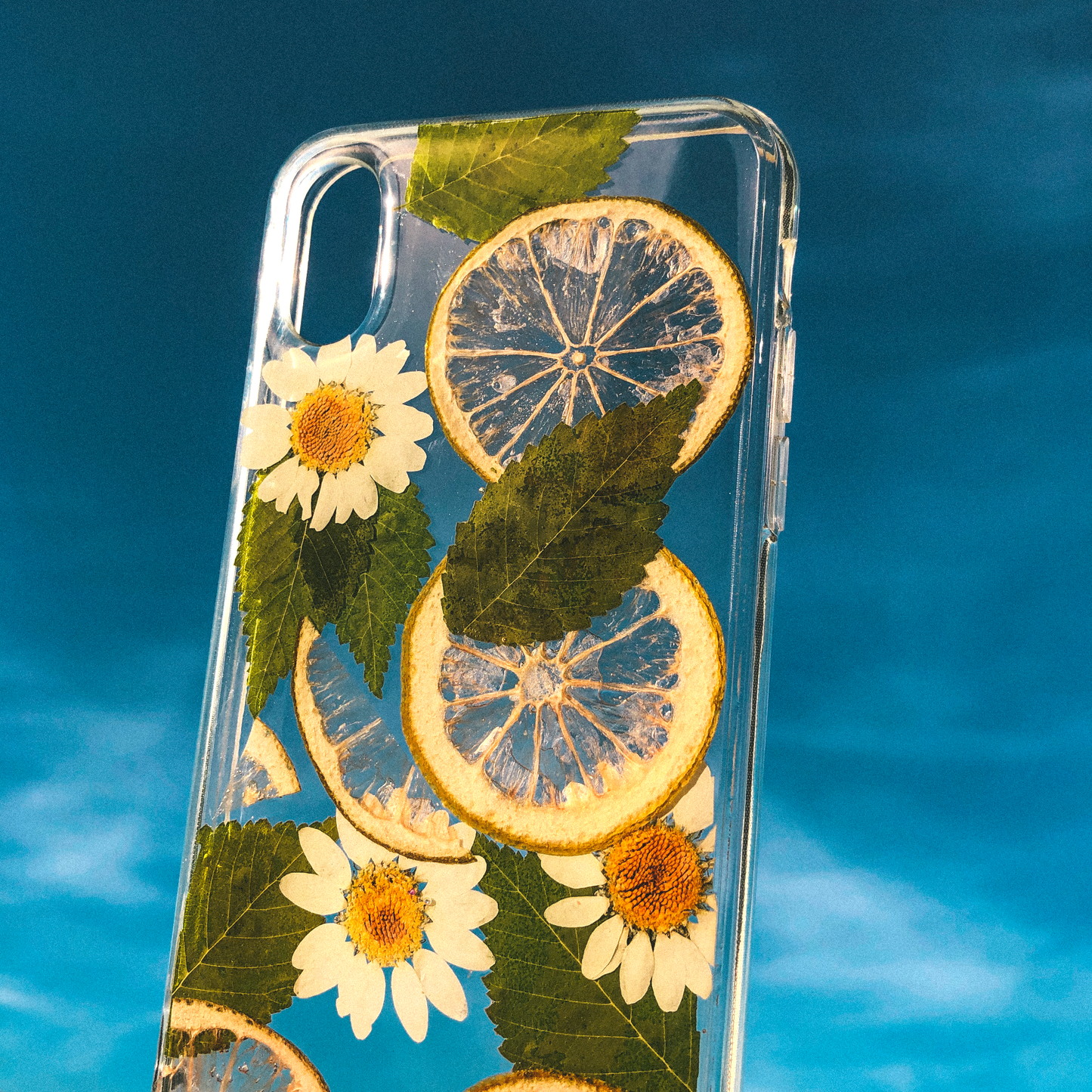 Pressed Lime Phone Case (iPhone X/XS) by Veronique
