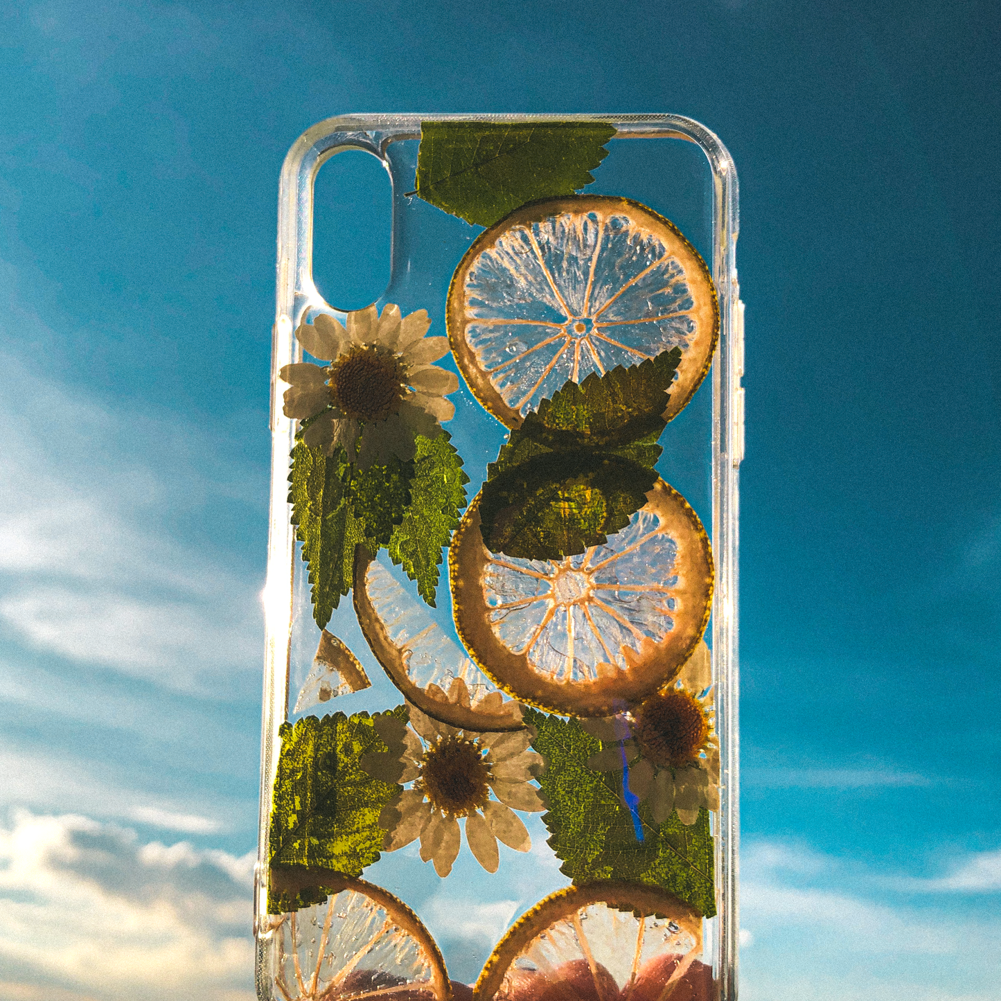 Pressed Lime Phone Case (iPhone X/XS) by Veronique