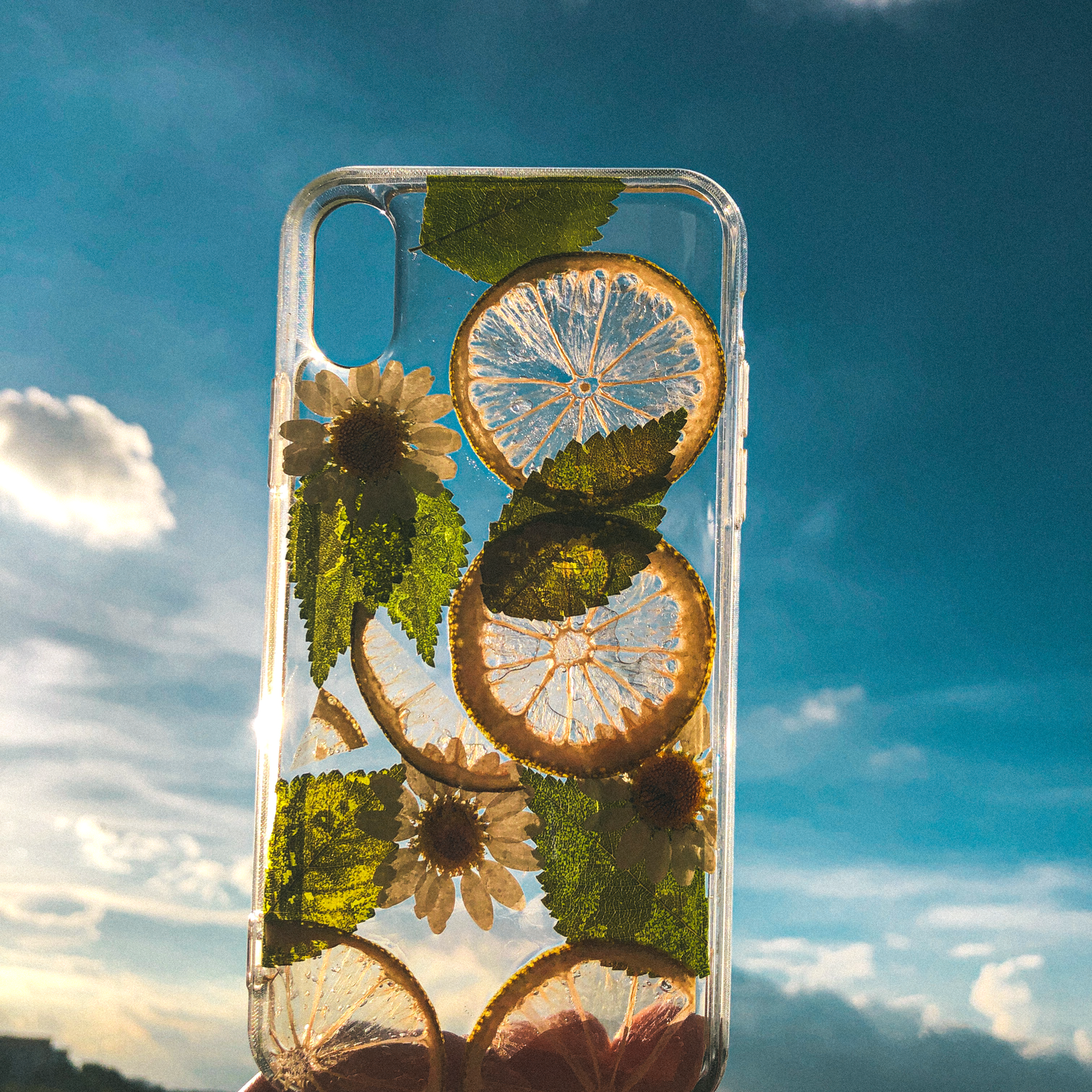 Pressed Lime Phone Case (iPhone X/XS) by Veronique
