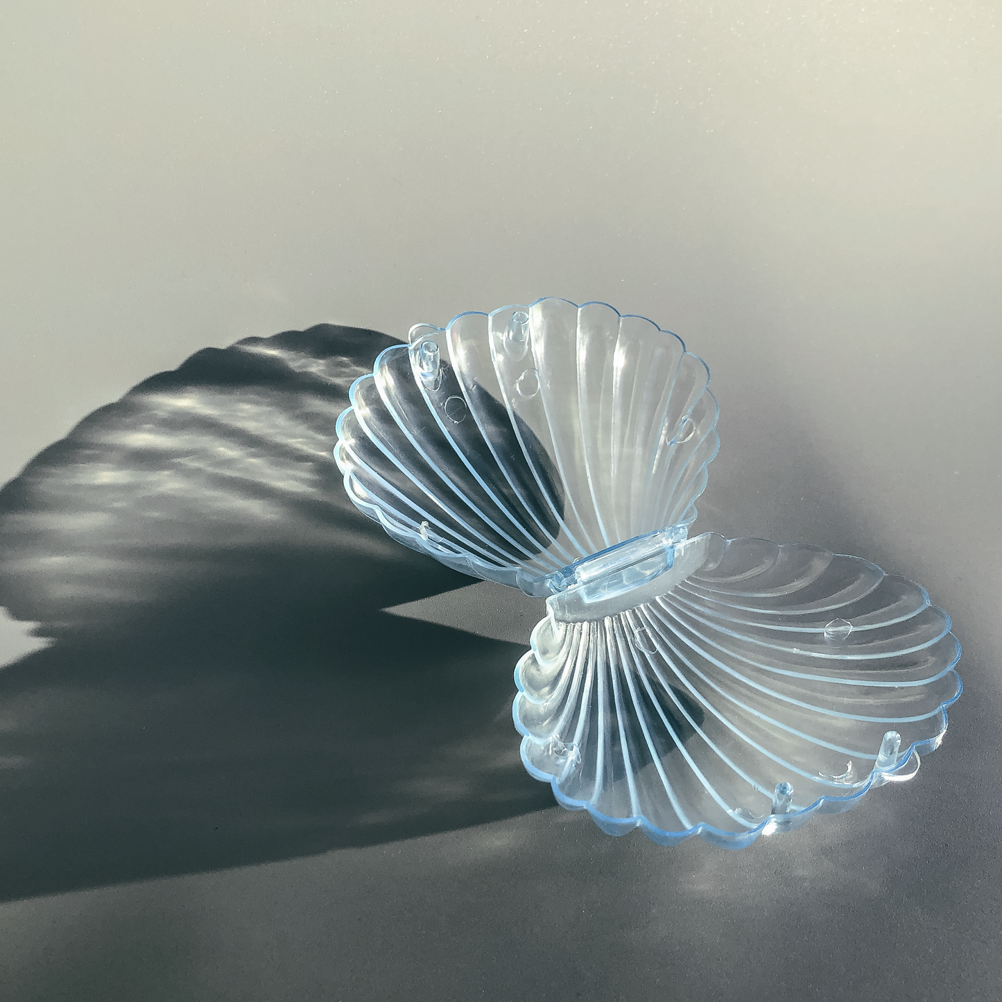 Shell Jewelry Case by Veronique