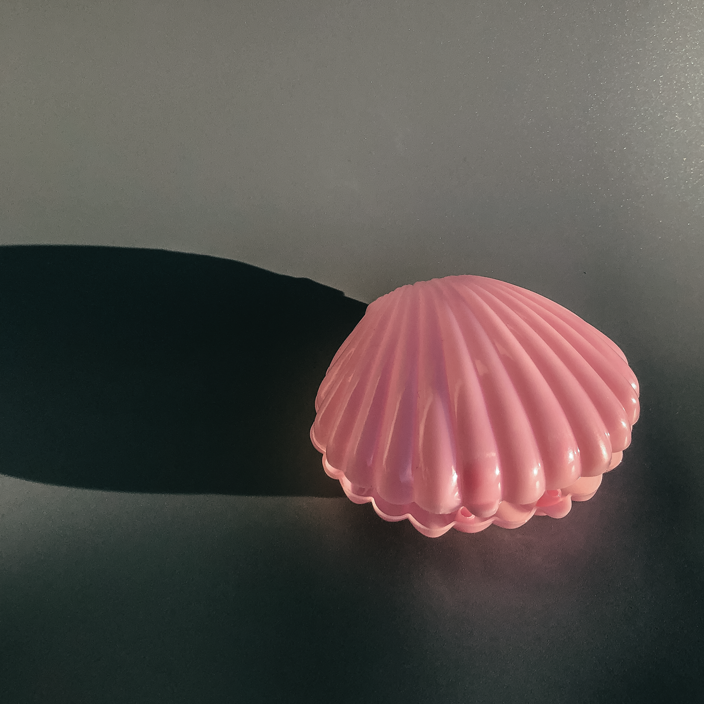 Shell Jewelry Case by Veronique