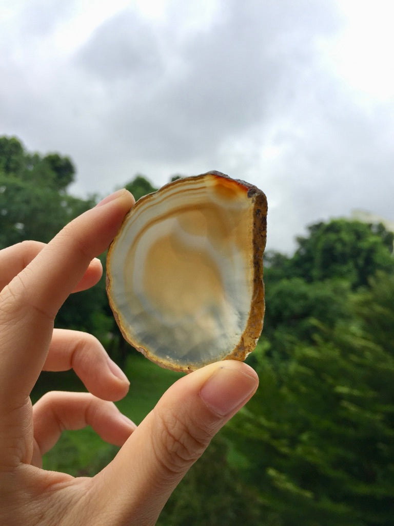 Agate Slice #20 by Vivian Lam