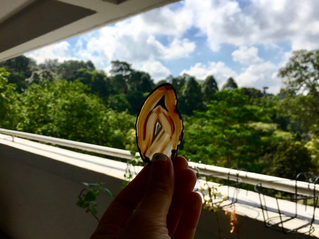 Agate Slice #1 by Vivian Lam