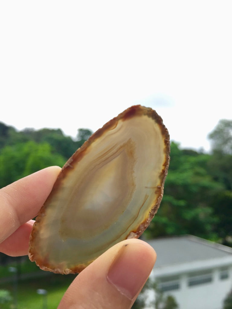 Agate Slice #37 by Vivian Lam
