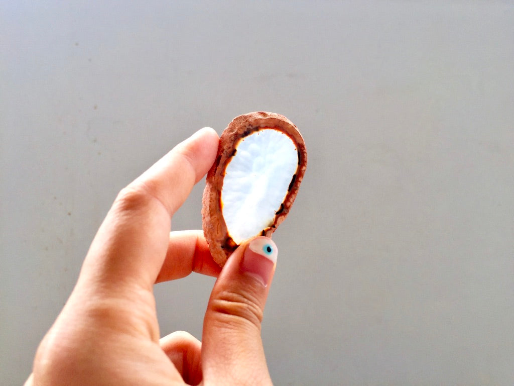 Agate Slice #8 by Vivian Lam
