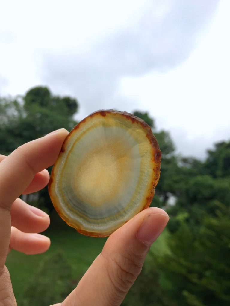 Agate Slice #22 by Vivian Lam