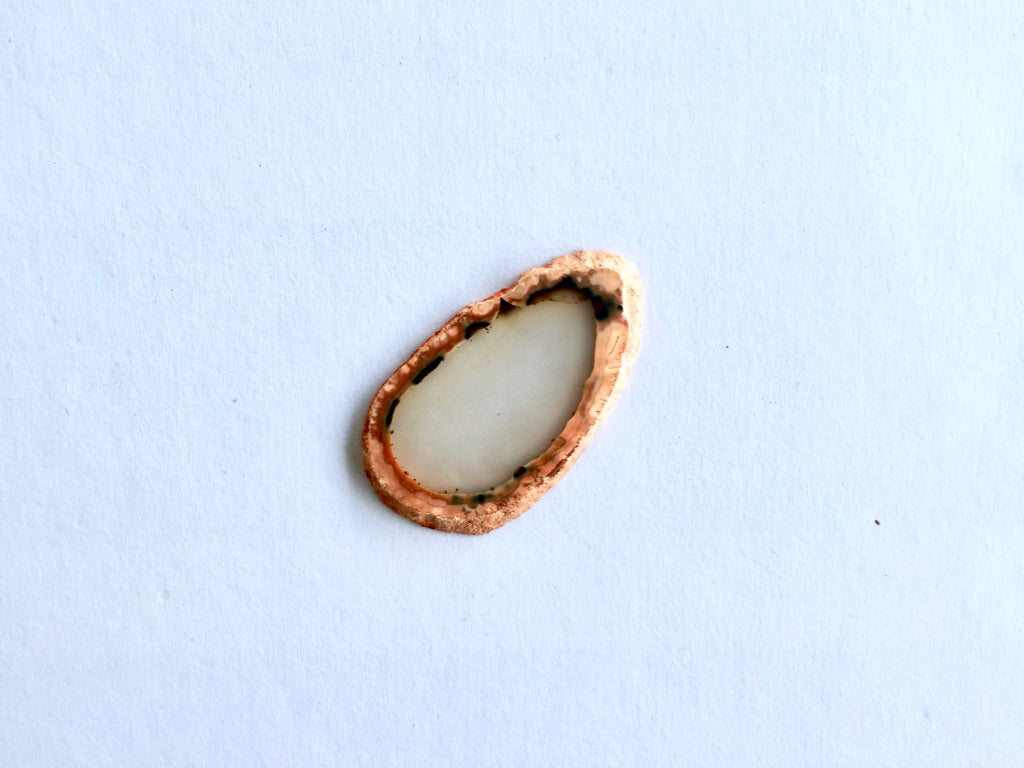 Agate Slice #8 by Vivian Lam