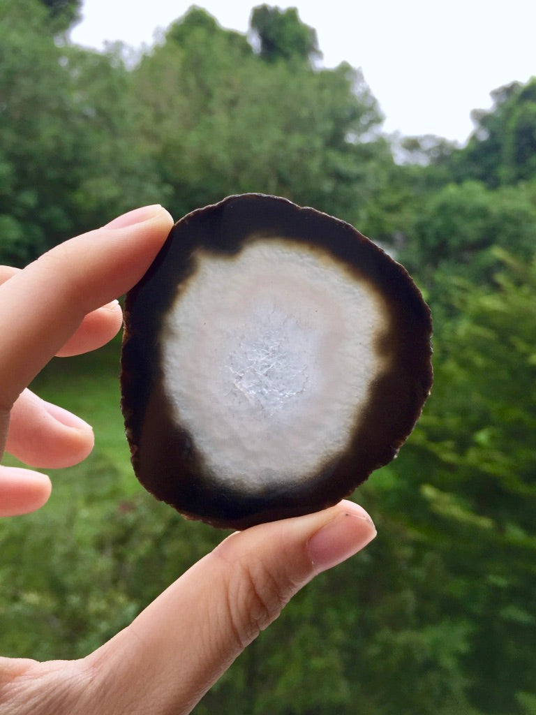 Agate Slice #43  by Vivian Lam