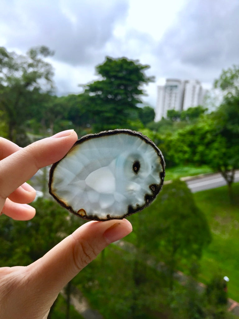 Agate Slice #39 by Vivian Lam