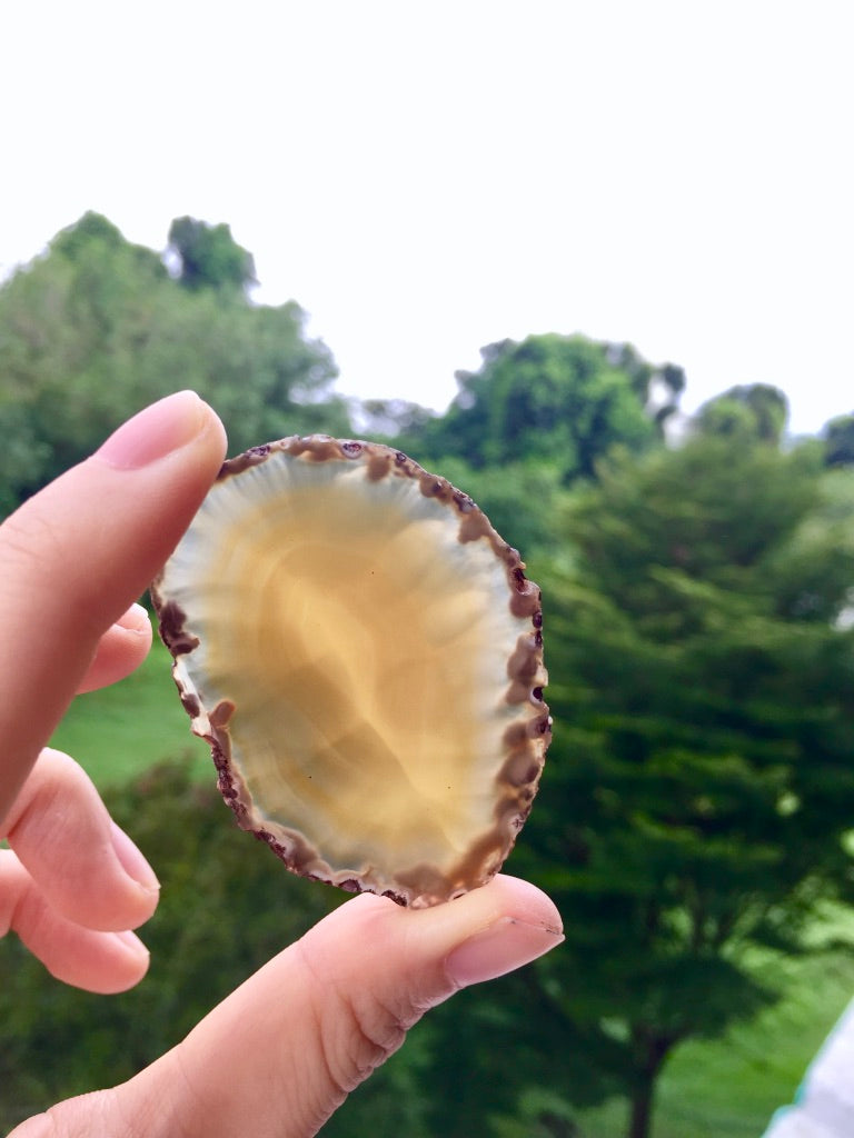 Agate Slice #40 by Vivian Lam