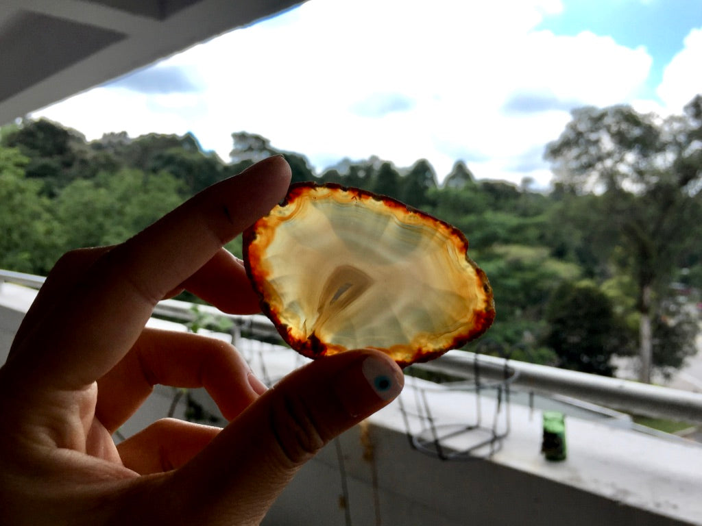 Agate Slice #17 by Vivian Lam