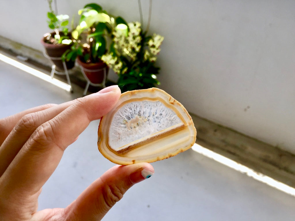 Agate Slice #2 by Vivian Lam
