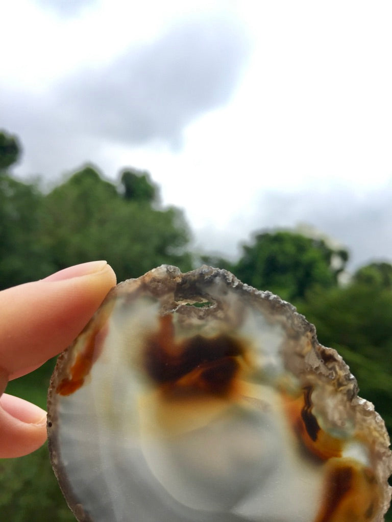 Agate Slice #21 by Vivian Lam