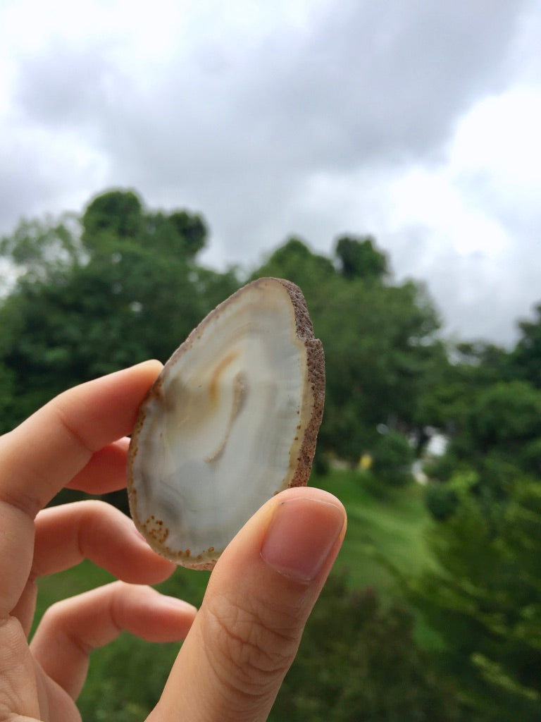 Agate Slice #23 by Vivian Lam