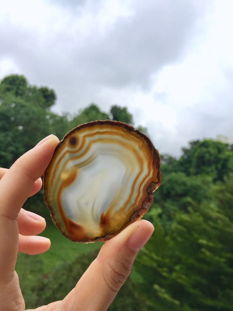 Agate Slice #24 by Vivian Lam
