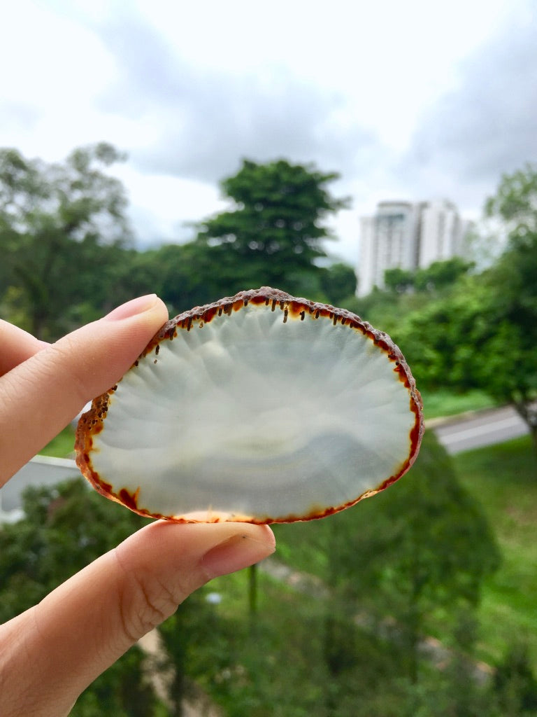 Agate Slice #36 by Vivian Lam