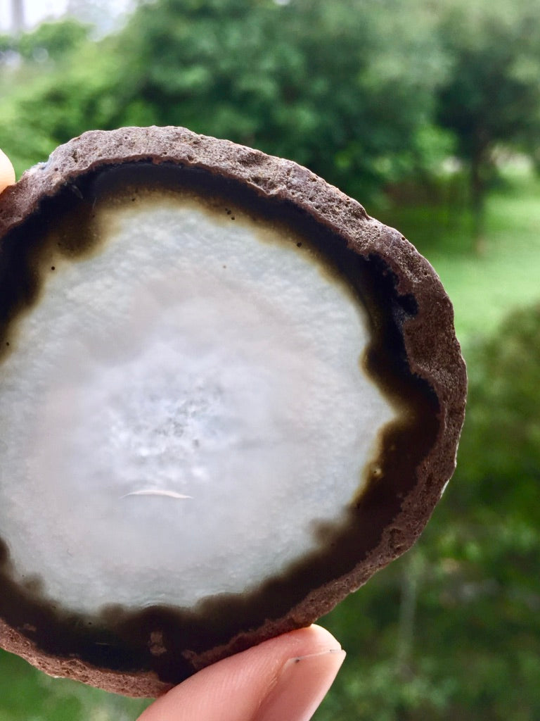 Agate Slice #43  by Vivian Lam