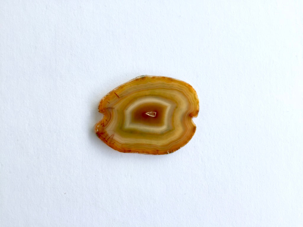 Agate Slice #3 by Vivian Lam